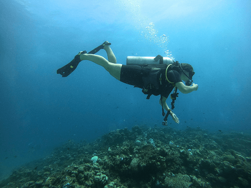 Equalize ear pressure when scuba diving. Compenser la pression dans les oreilles en plongée sous-marine.