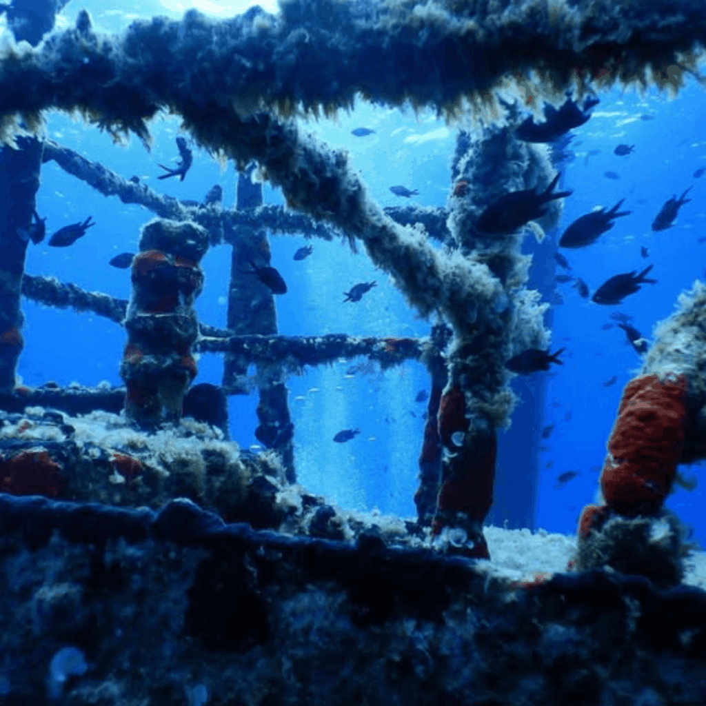 Wrecks dive in Greece - Historical wrecks - Blue Island Divers