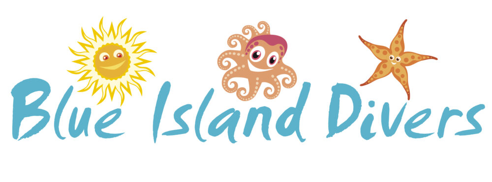 info@blueisland-divers.gr